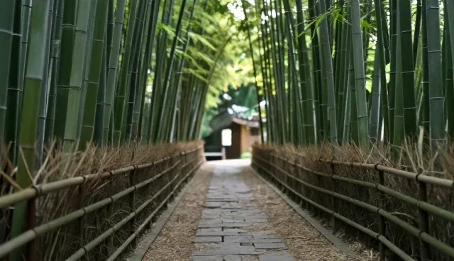 吉林方圆纵横医疗器械有限公司